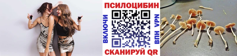 Псилоцибиновые грибы прущие грибы Медногорск